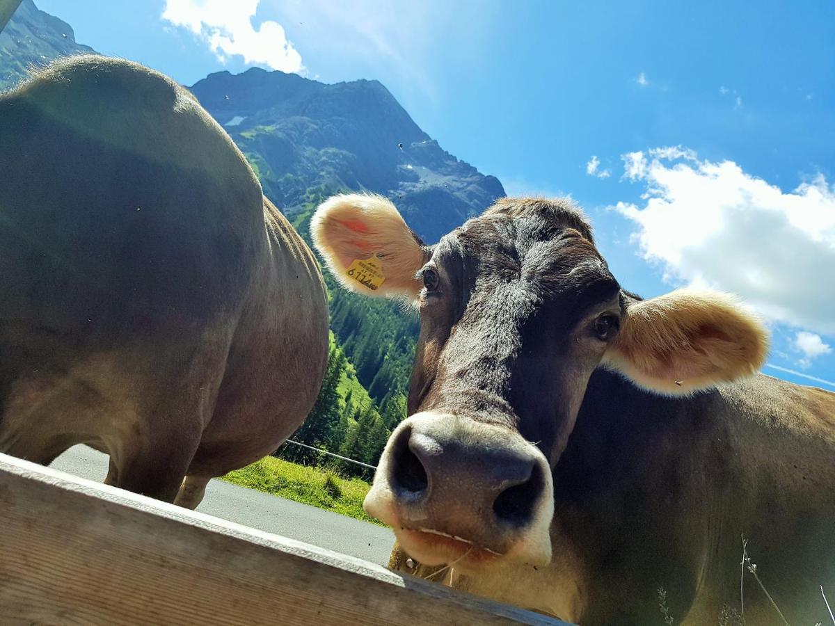Gasthof Auerhahn Lech Buitenkant foto